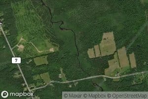 Hanson Brook