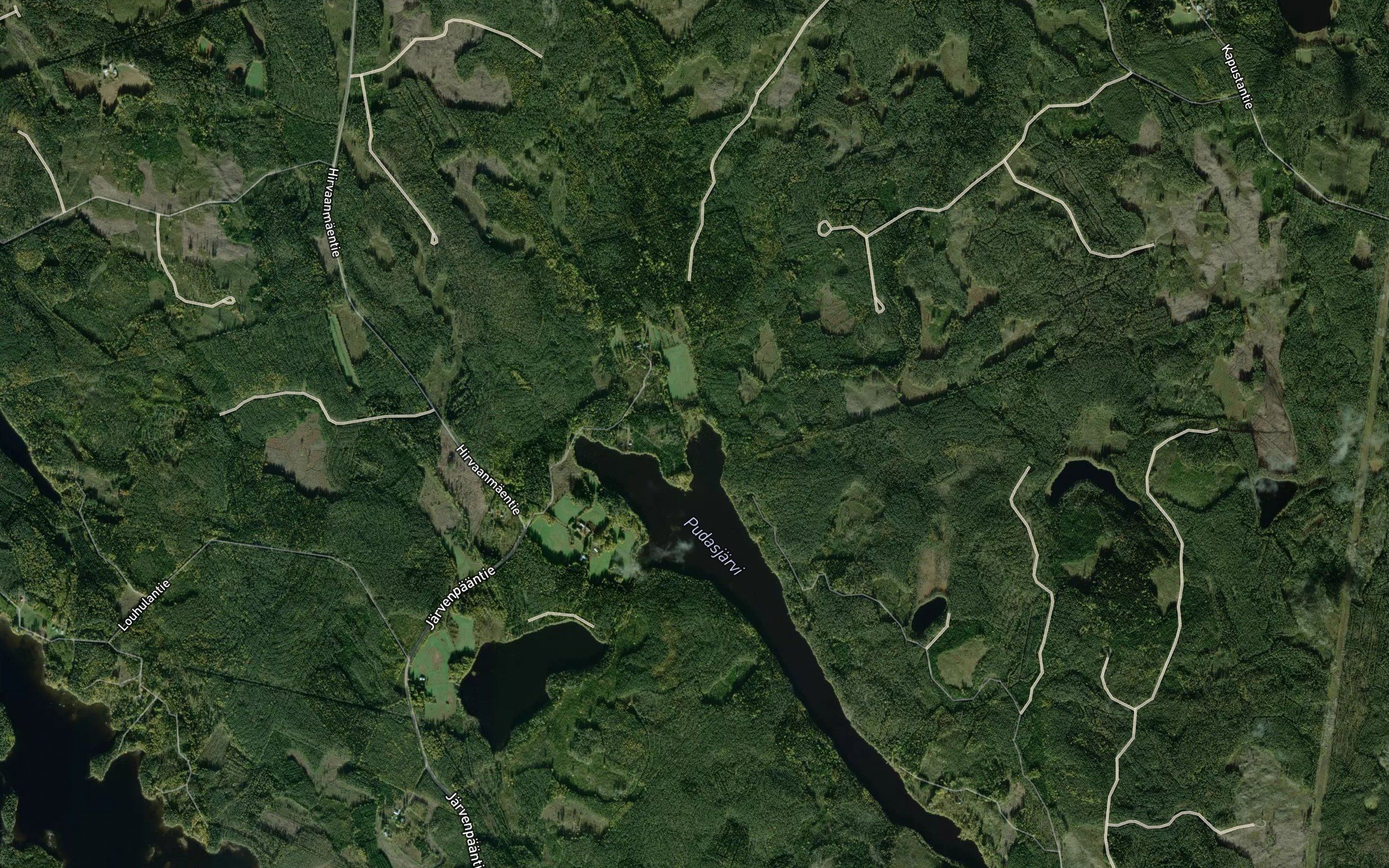 Saaripuro