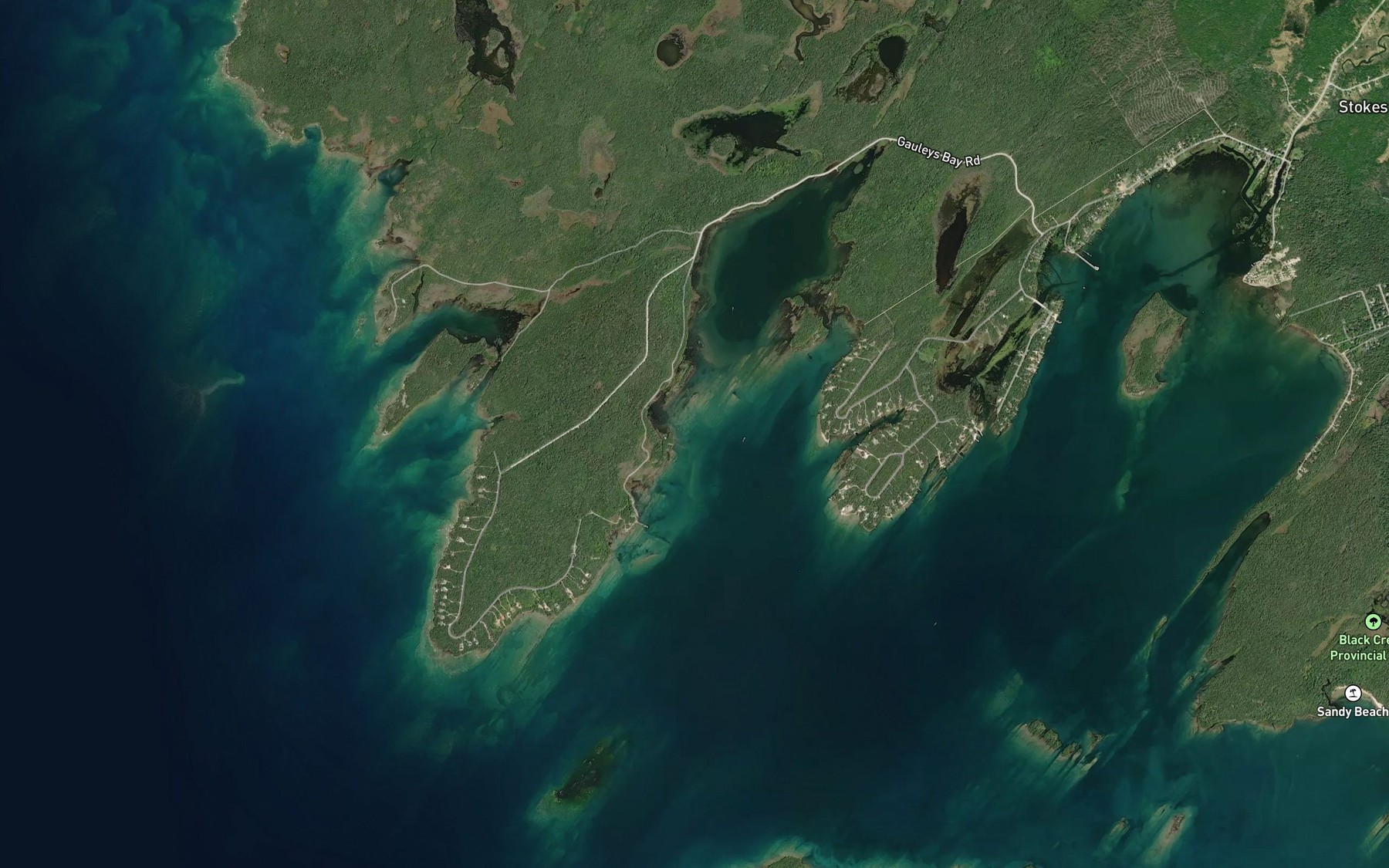 Satellite map of the Gauley Bay