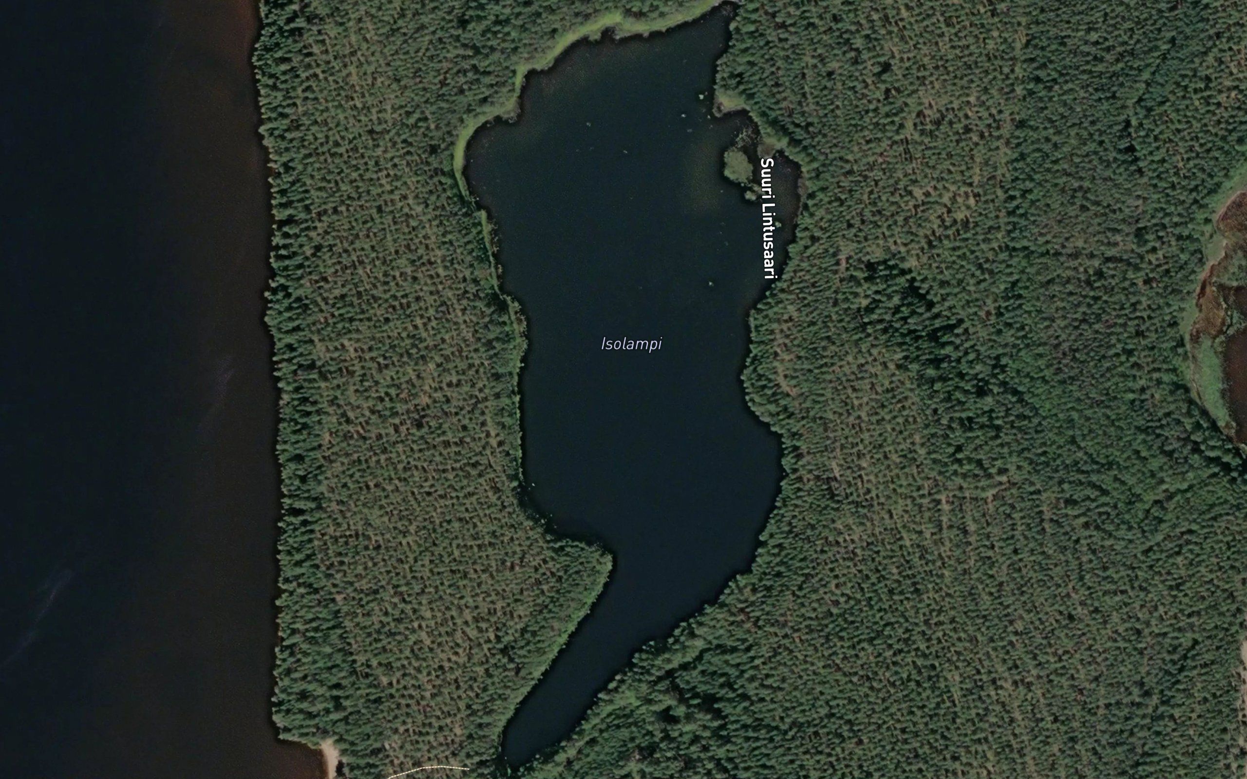 Isolampi