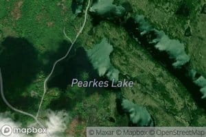 Pearkes Lake