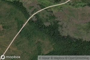 Mokhovoy
