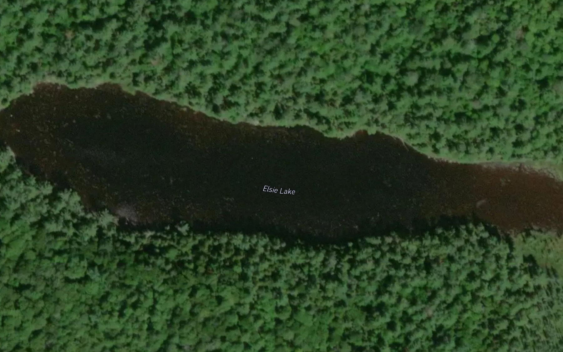 Satellite map of the Elsie Lake