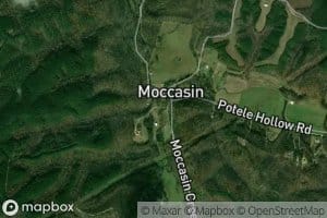 East Prong Moccasin Creek
