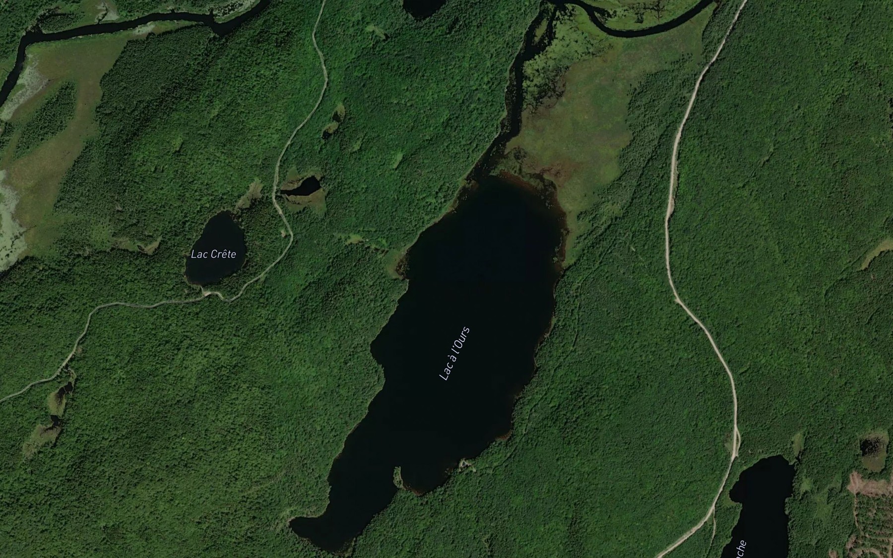 Satellite map of the Lac a l'Ours