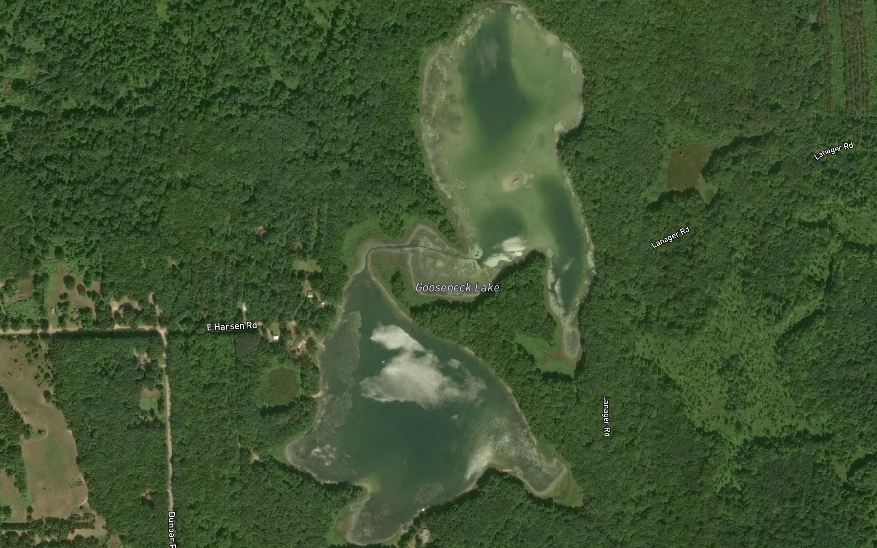 Satellite map of the Gooseneck Lake