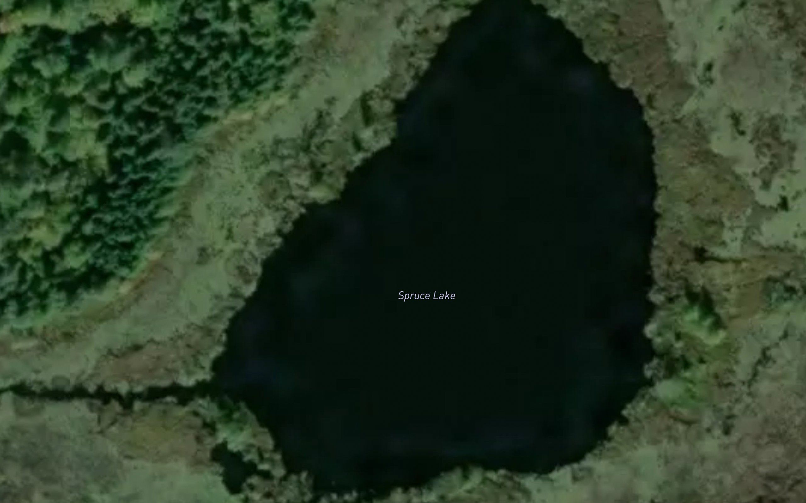 Spruce Lake