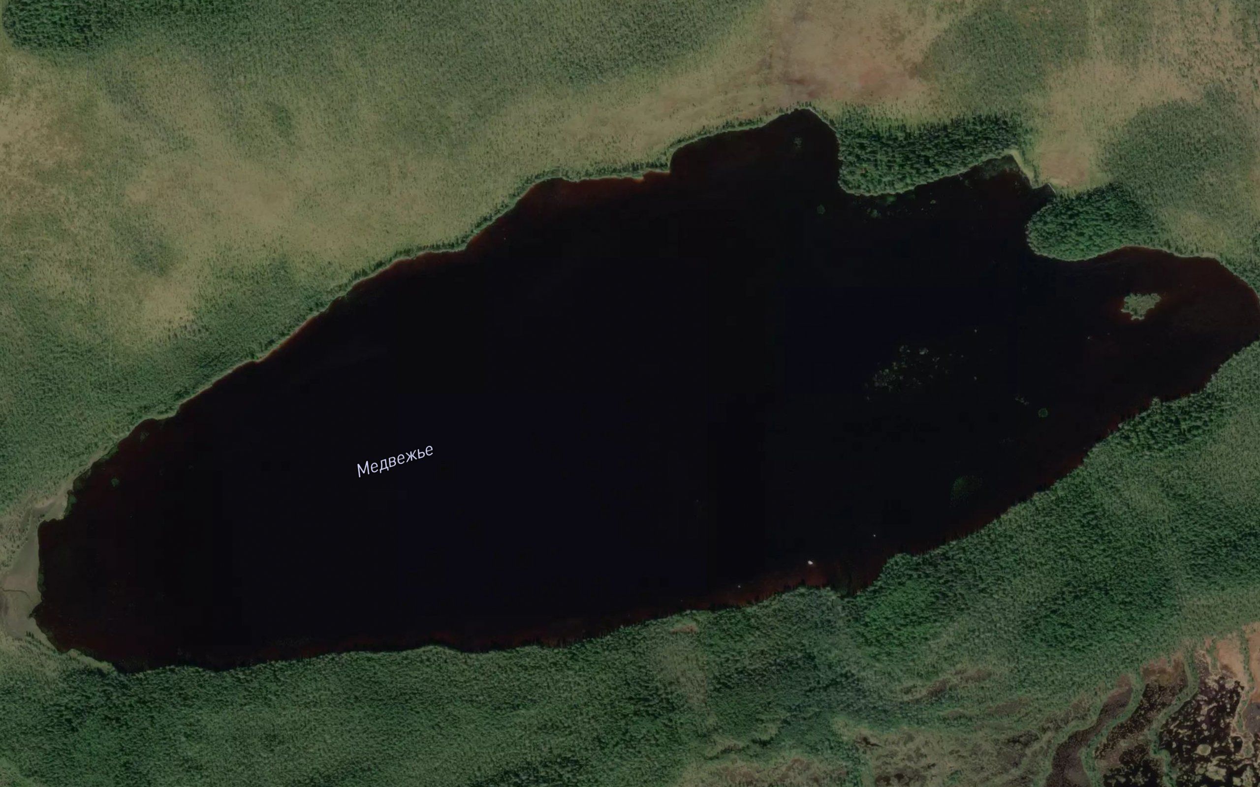 Ozero Medvezh'ye