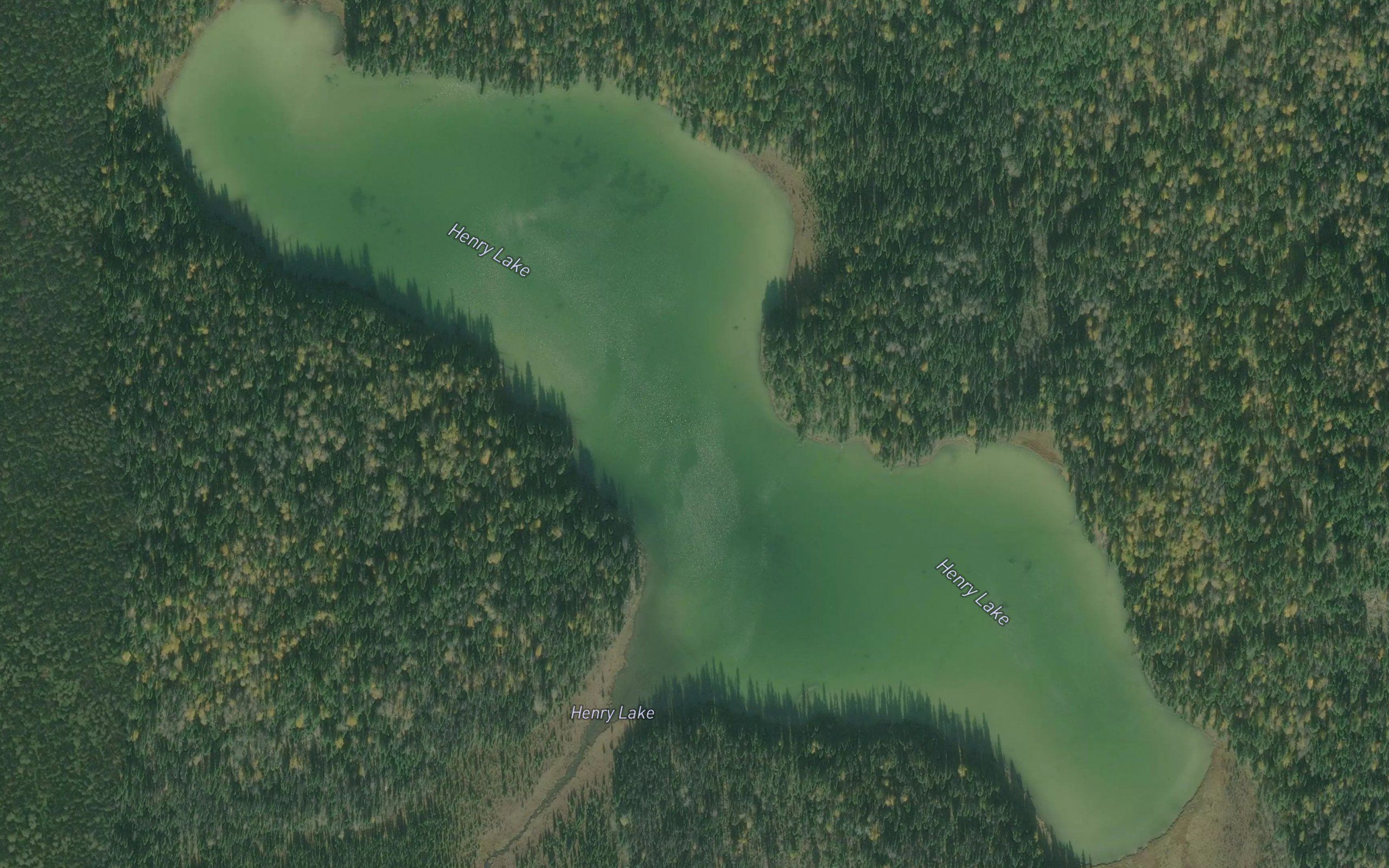 Henry Lake