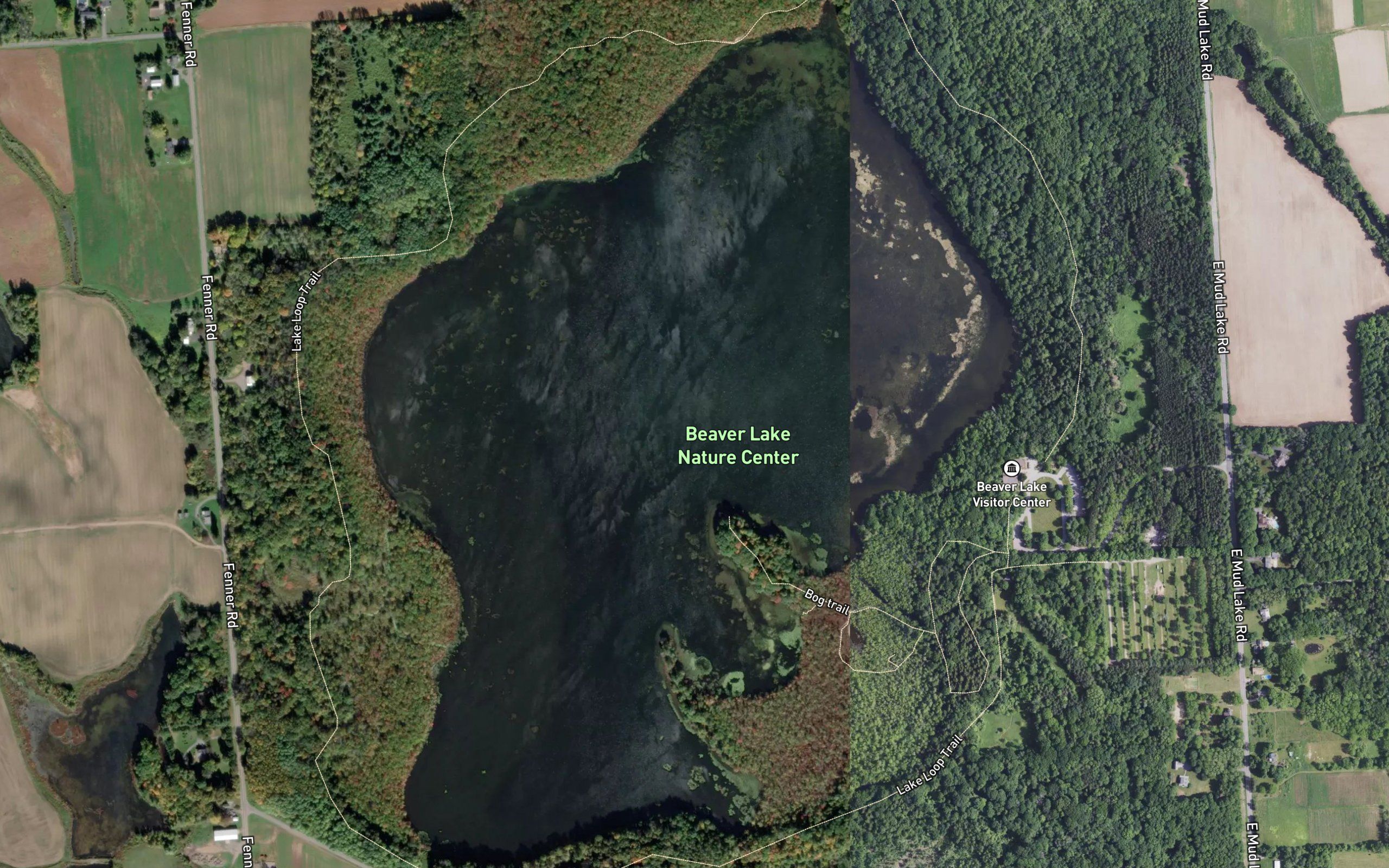 Mud Lake