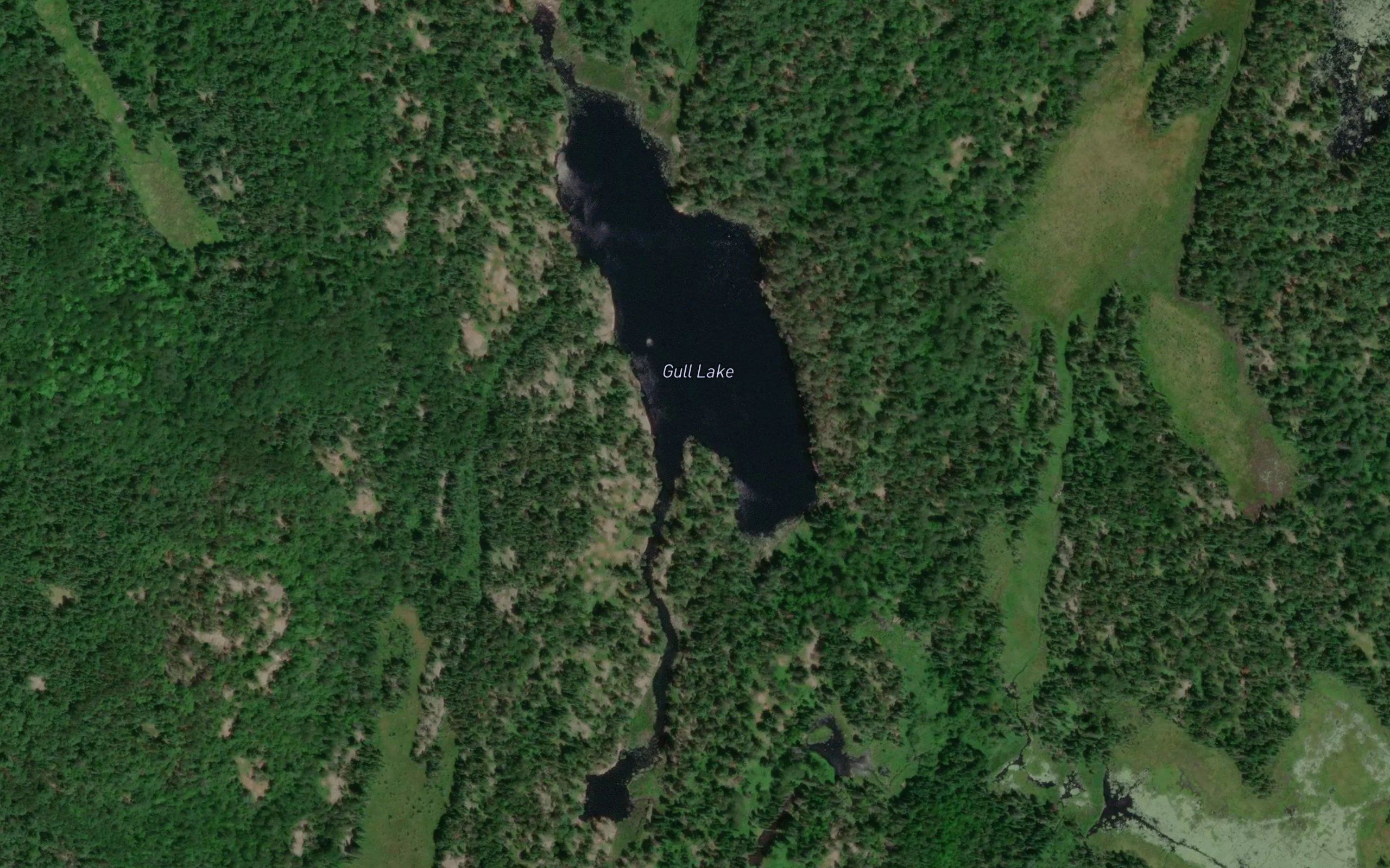 Gull Lake