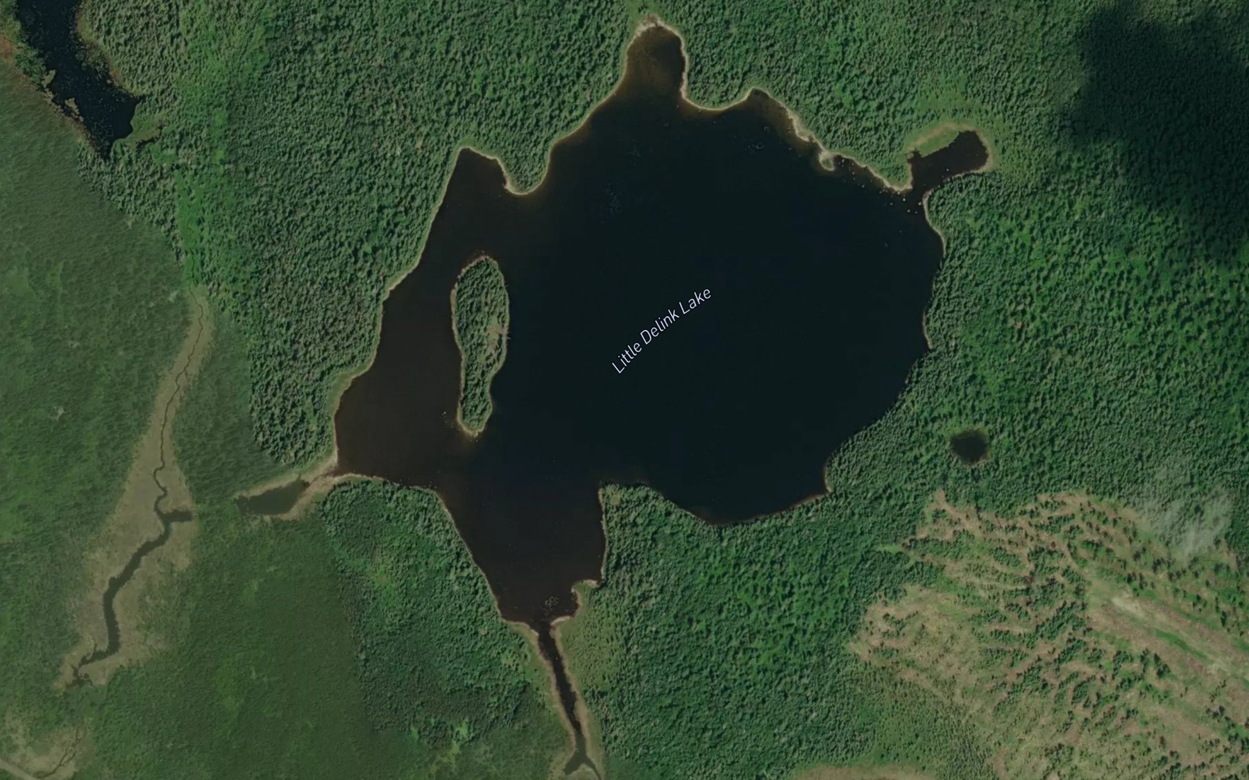 Satellite map of the Little Delink Lake