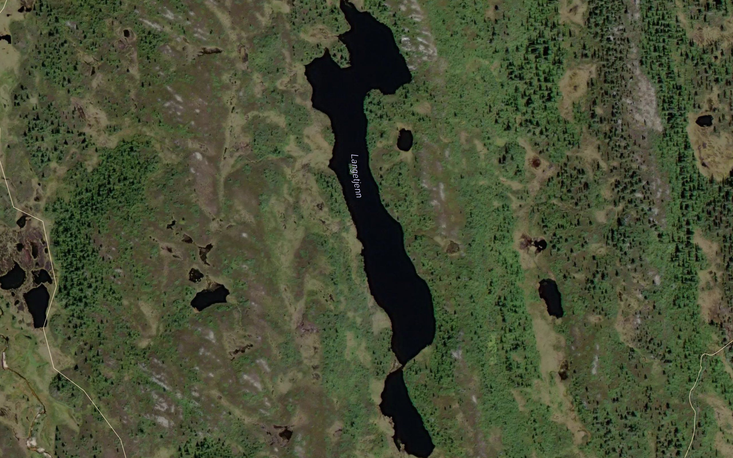 Langetjern