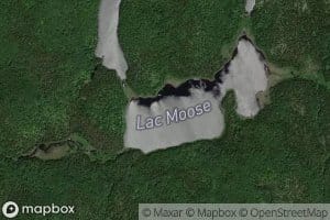 Lac Moose