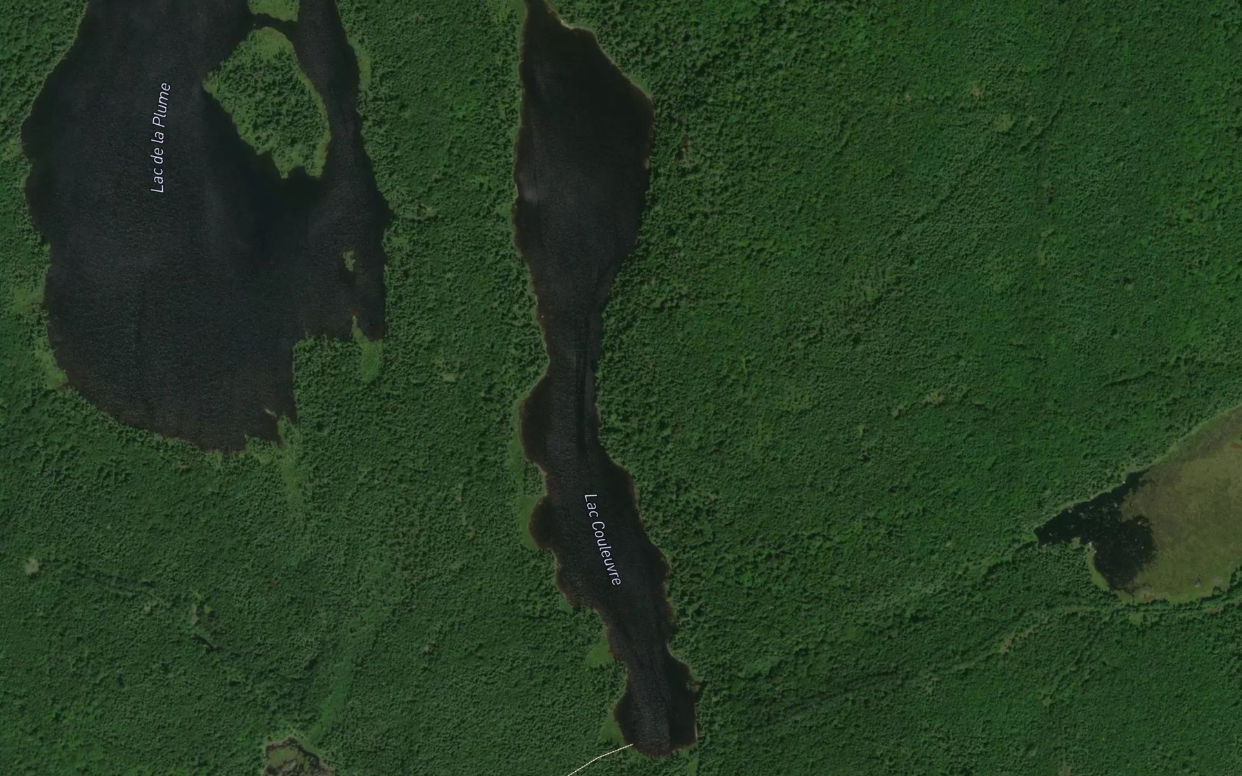 Satellite map of the Lac Couleuvre
