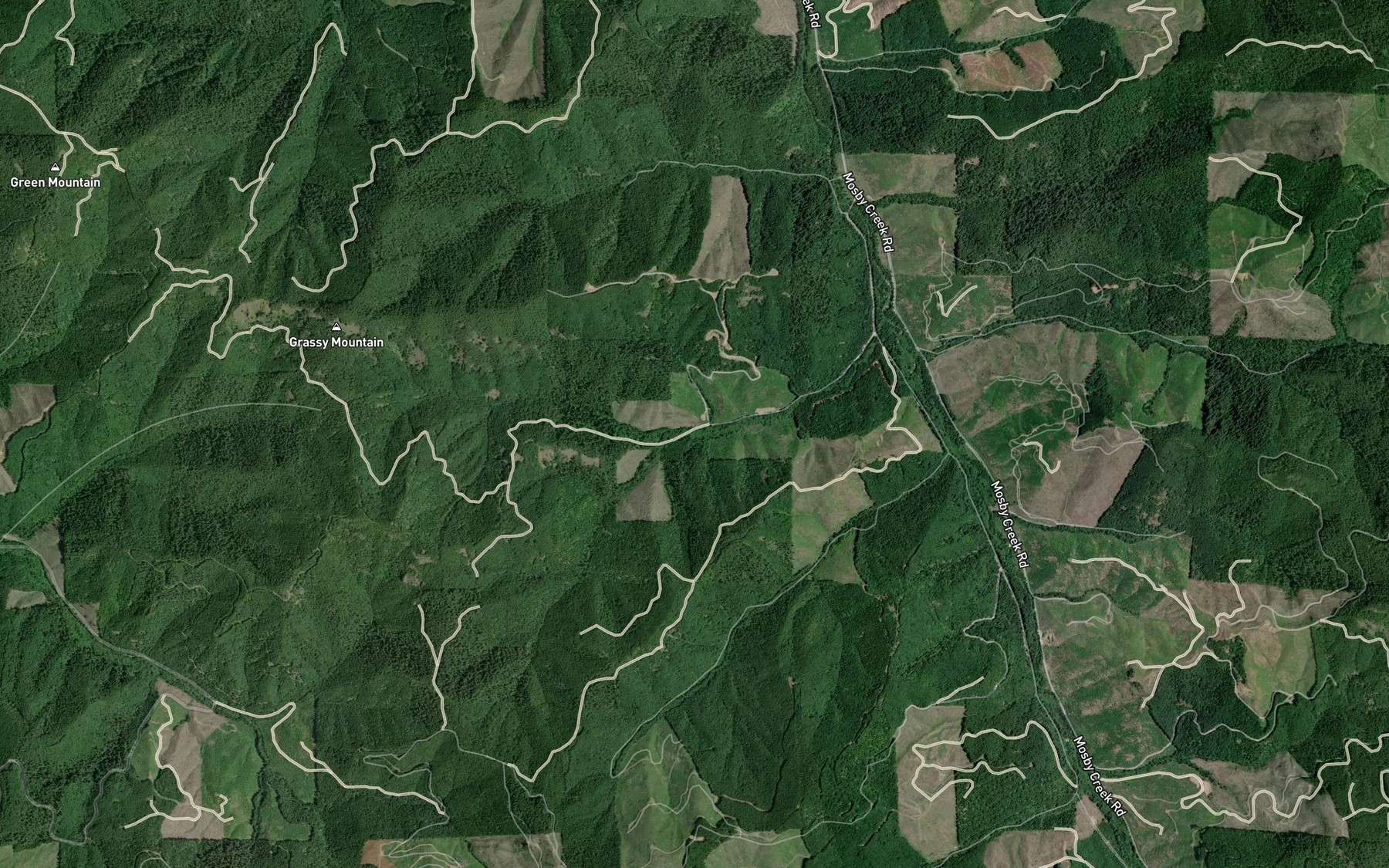 Satellite map of the North Fork Brownie Creek