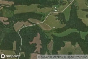 Taylor Branch