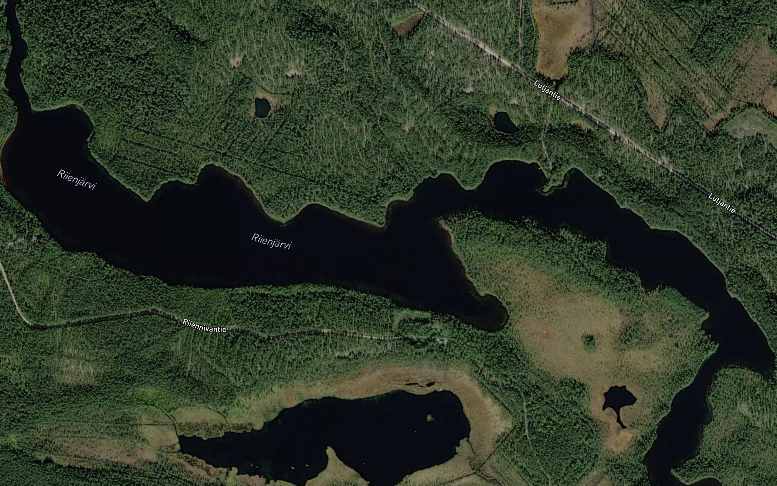 Riienjarvi