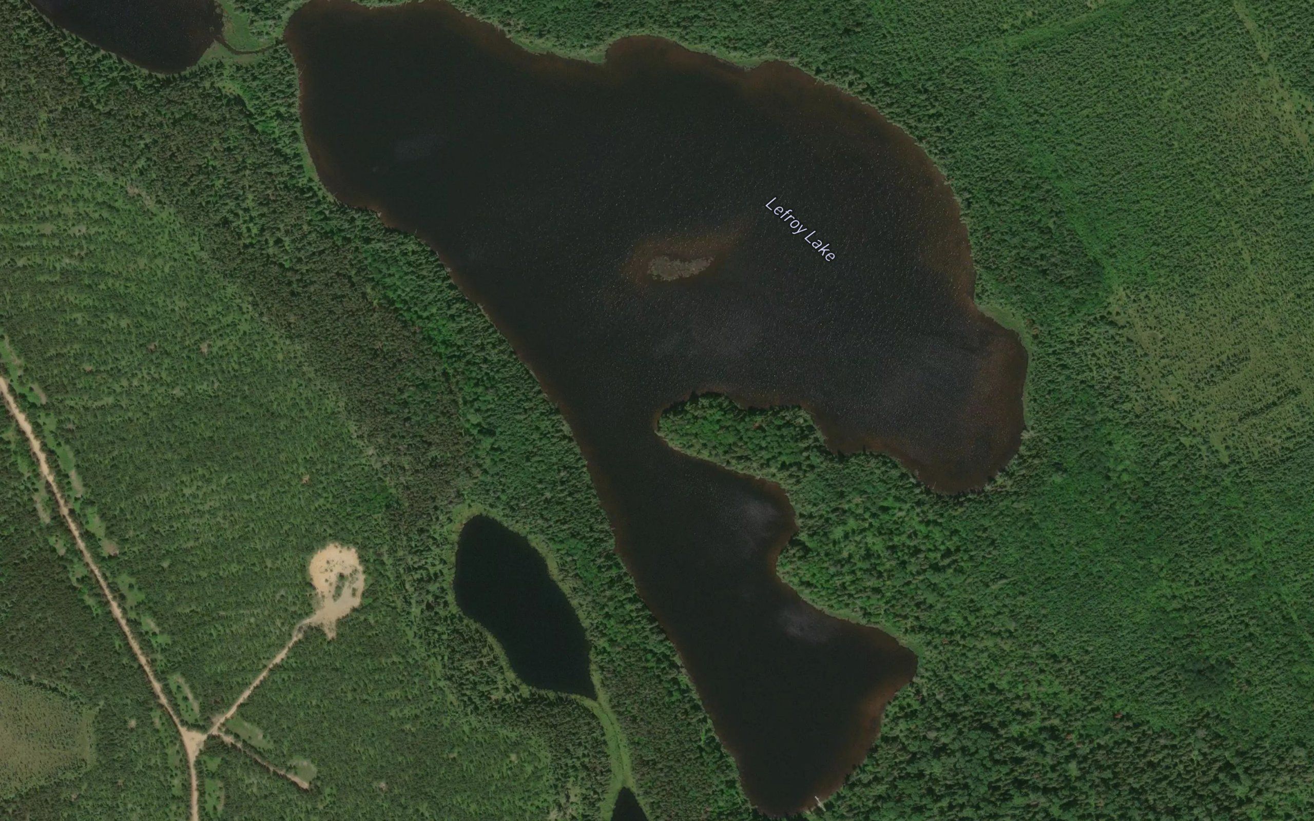 Lefroy Lake