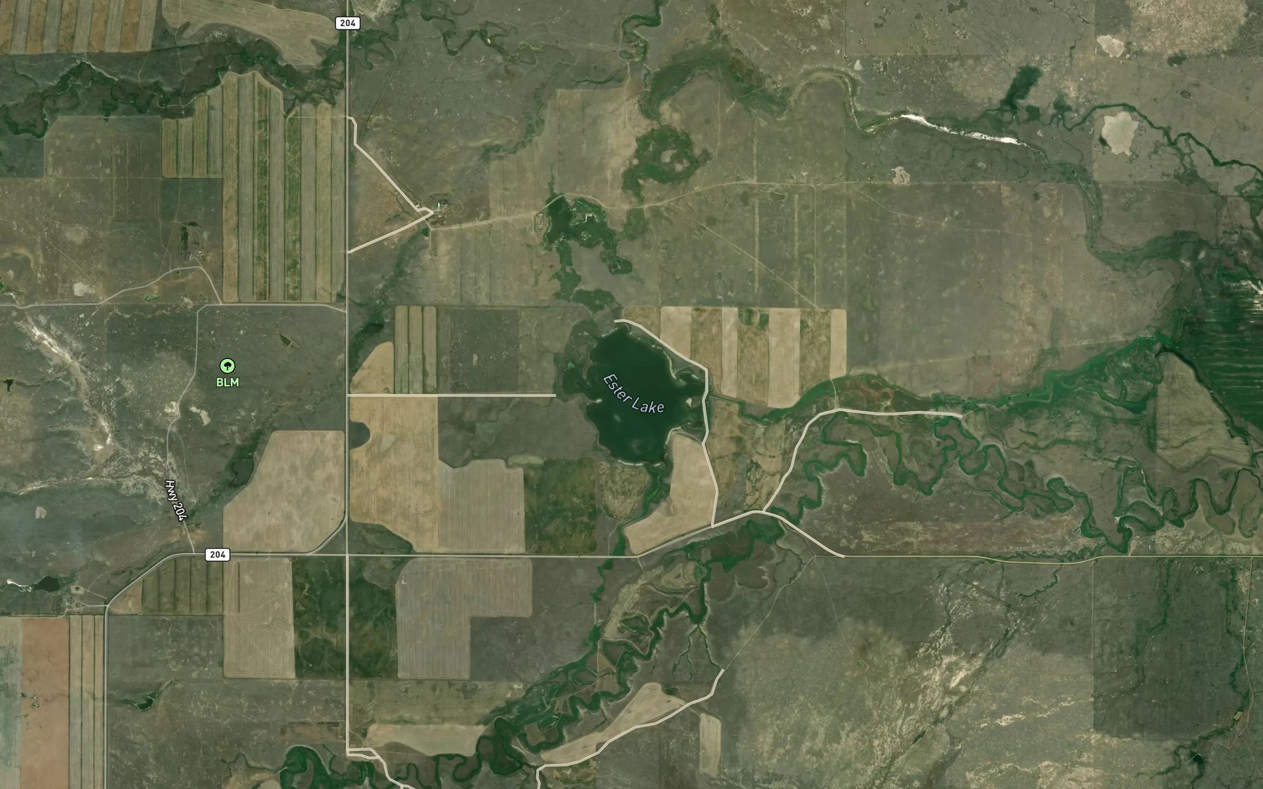 Satellite map of the Ester Lake