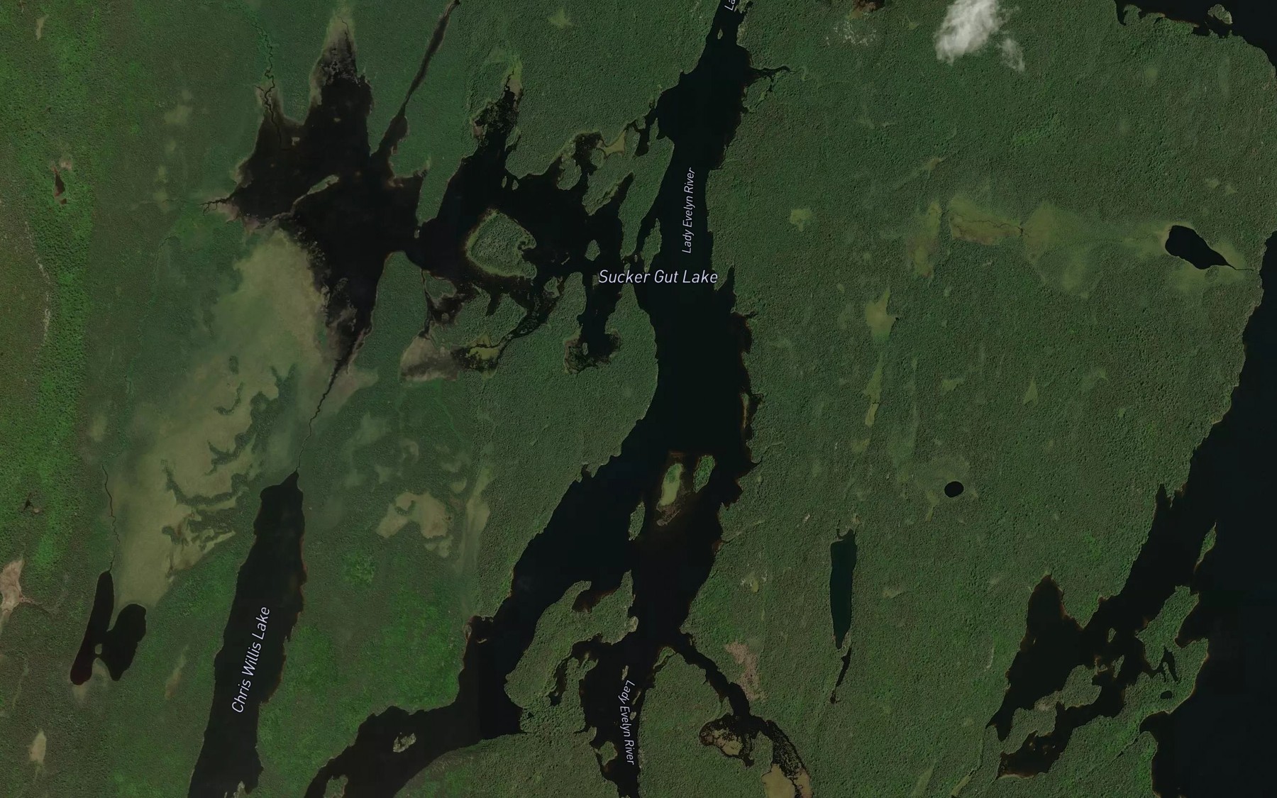 Satellite map of the Sucker Gut Lake