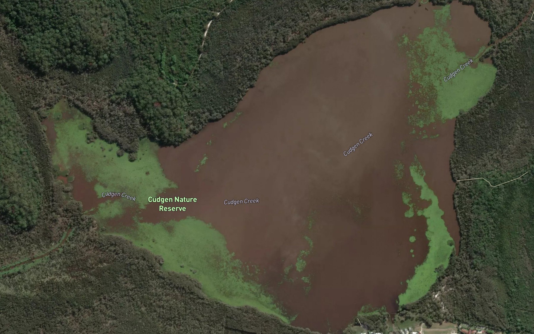 Satellite map of the Cudgen Lake