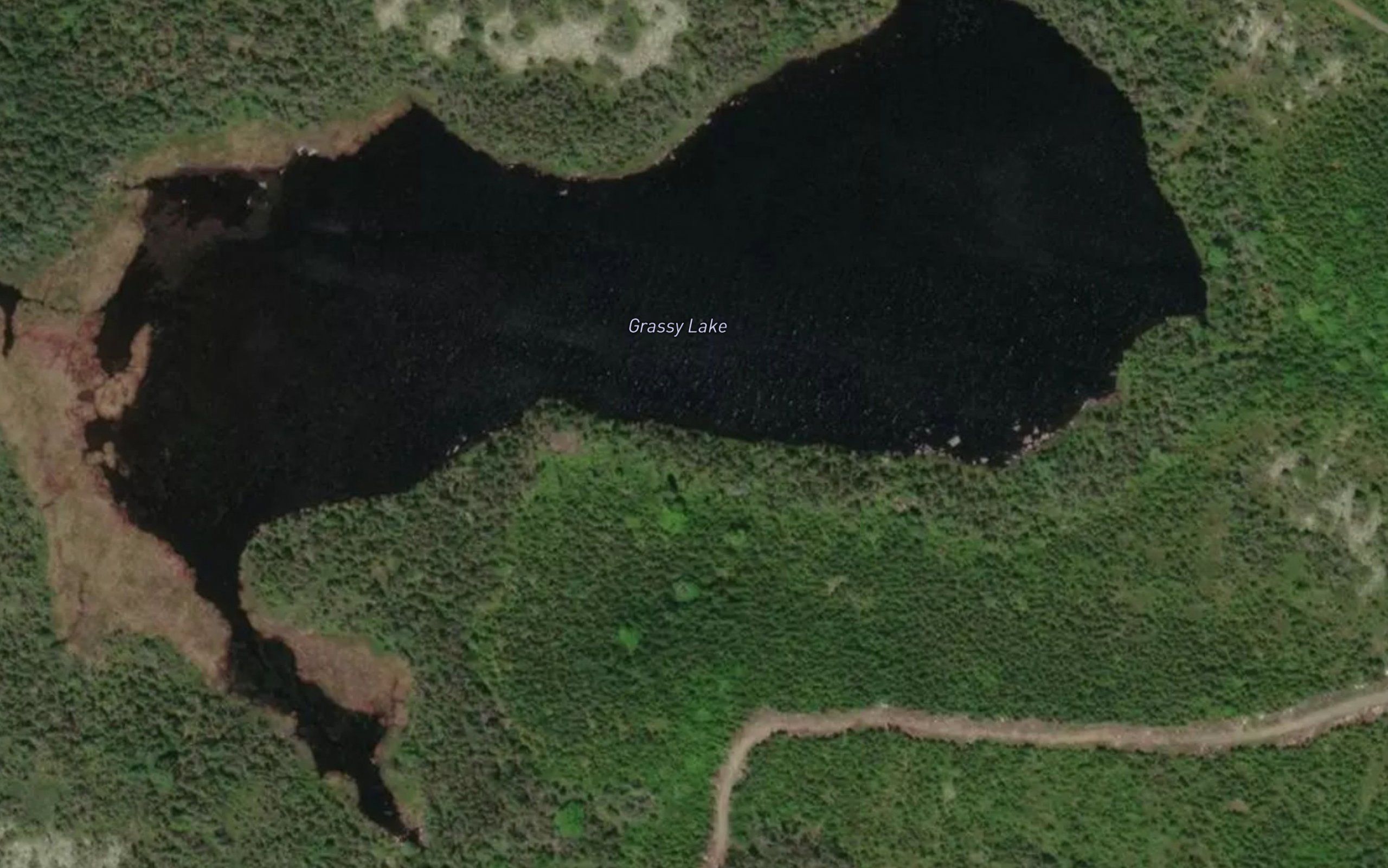 Grassy Lake
