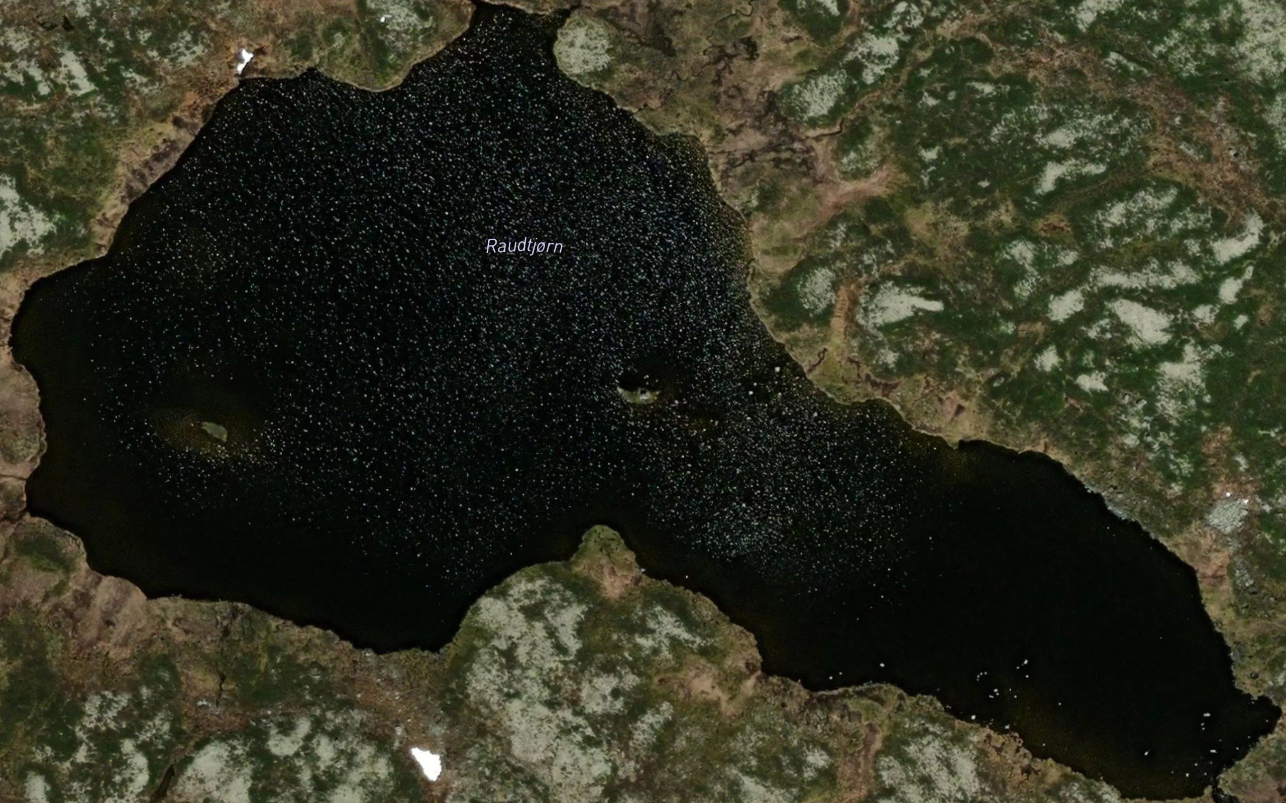 Raudtjorn