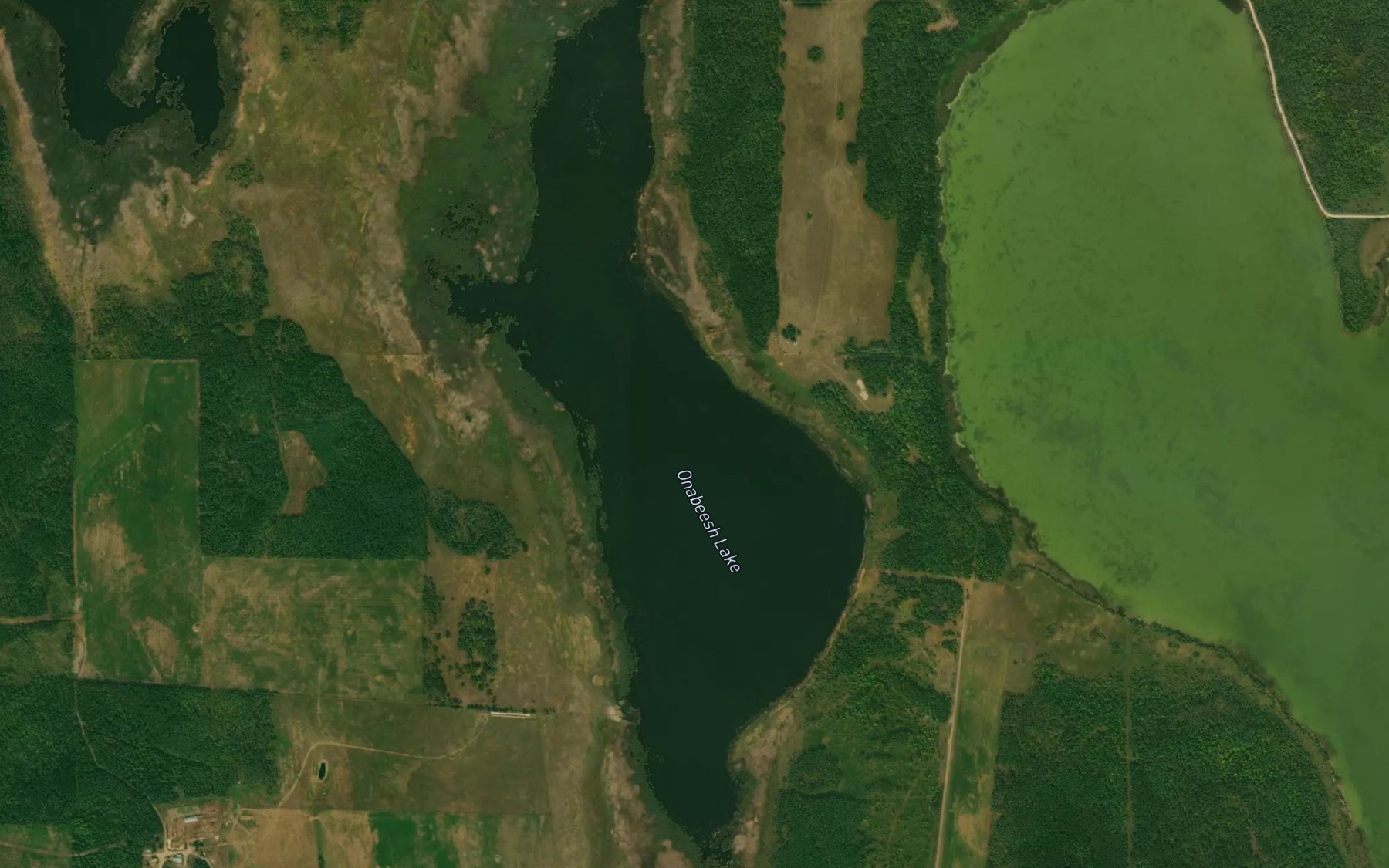 Satellite map of the Onabeesh Lake