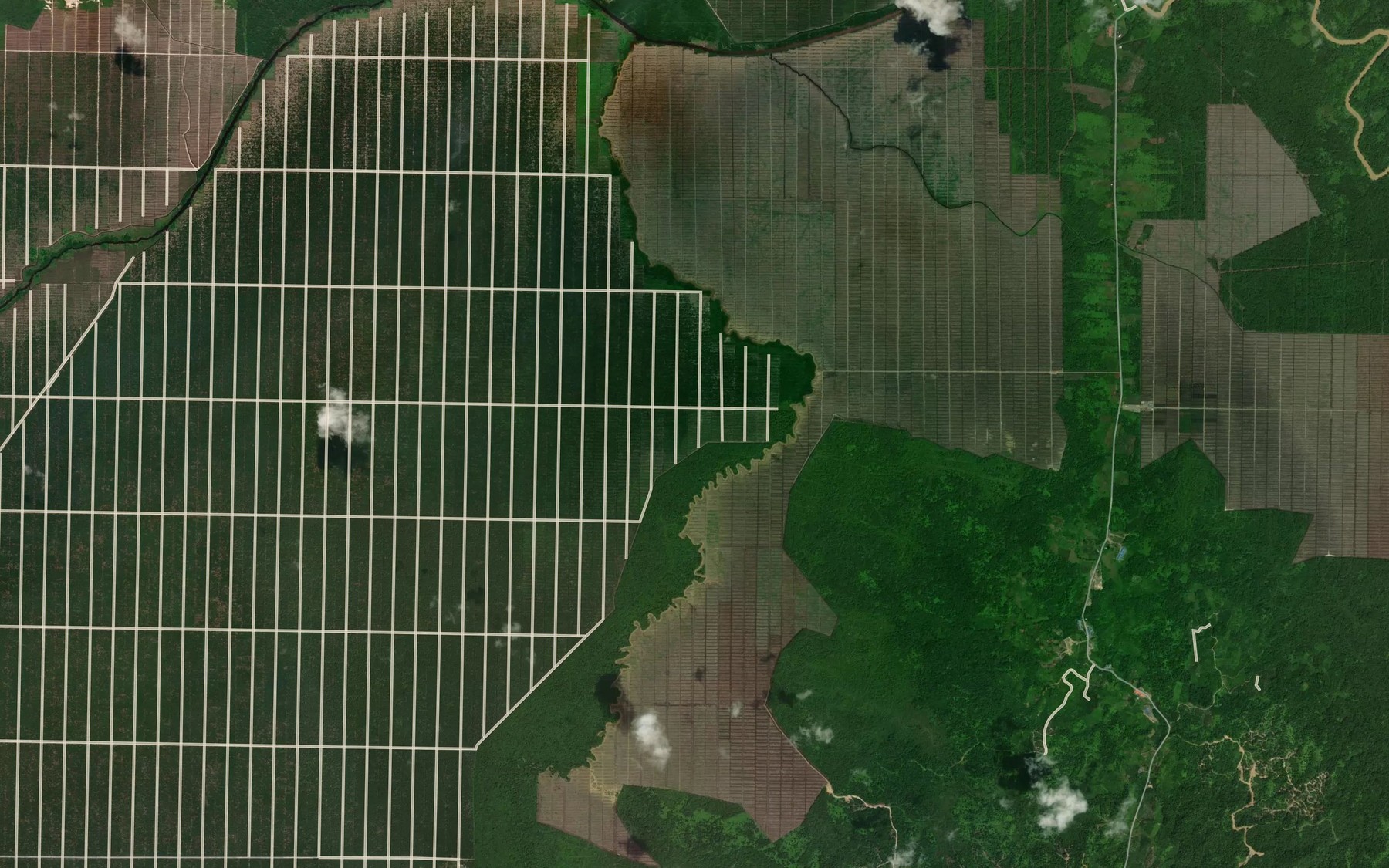 Satellite map of the Sungai Engkabang
