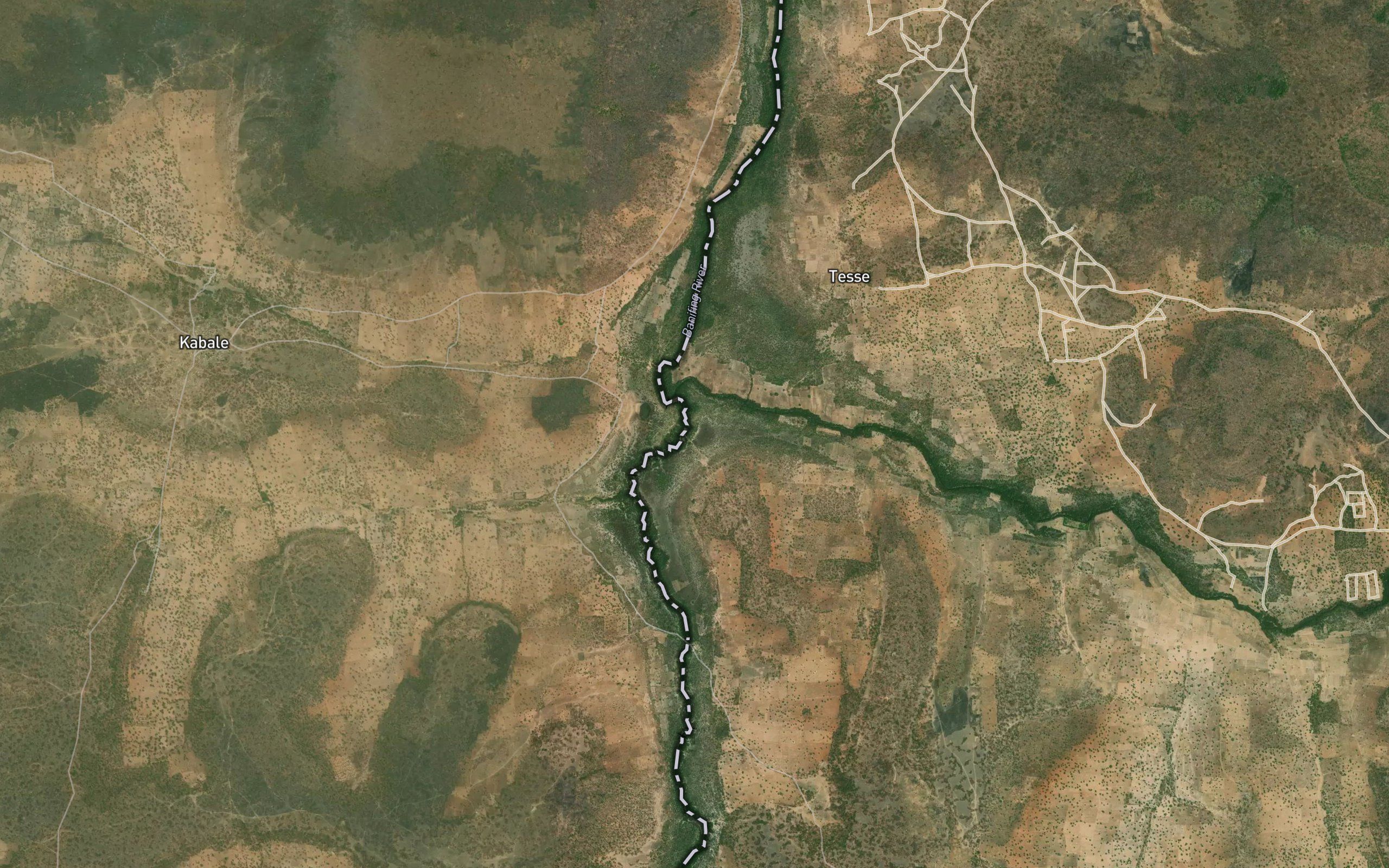 Longo