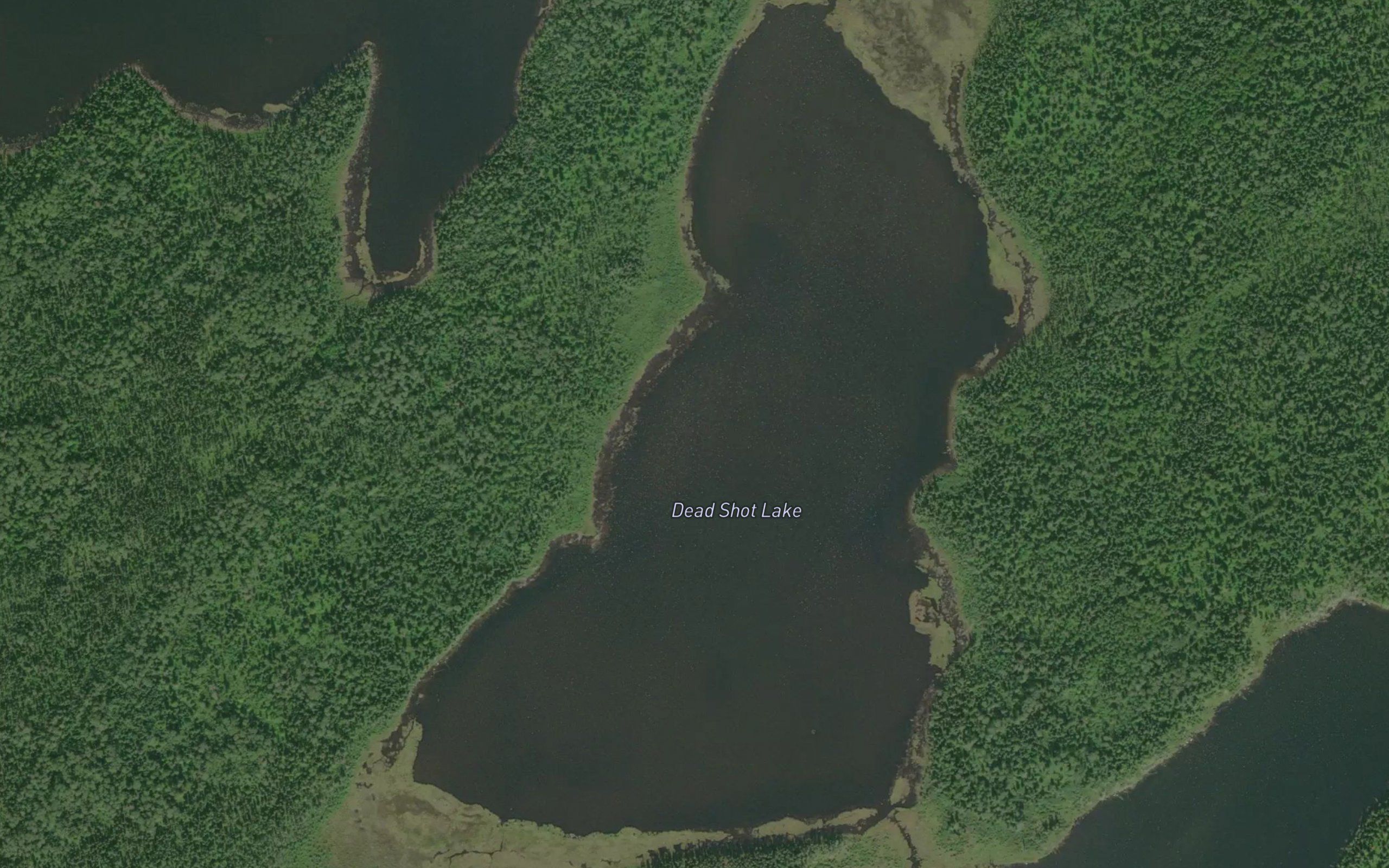 Dead Shot Lake