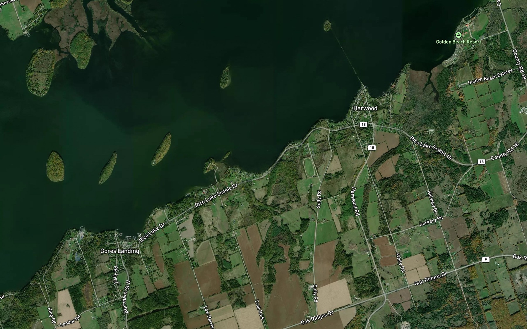 Satellite map of the Burrison's Bay