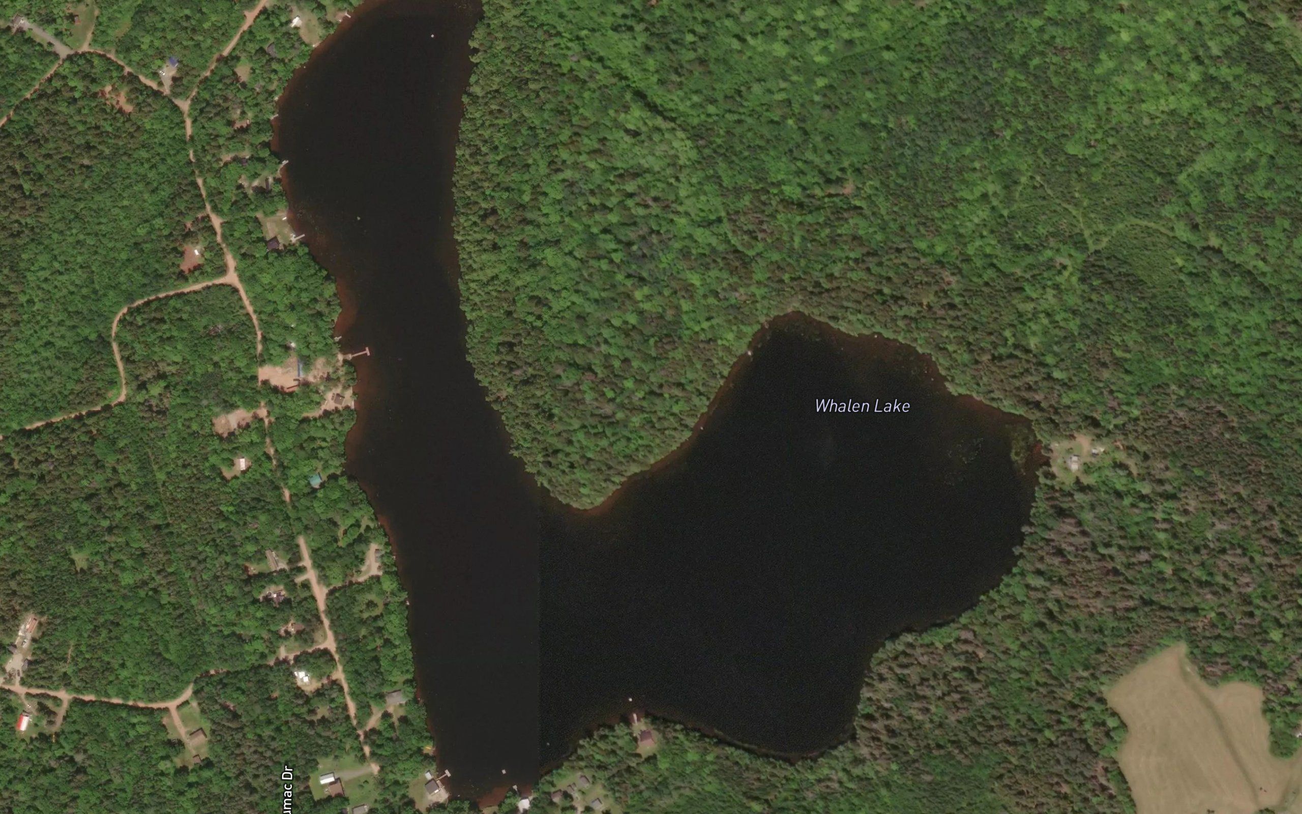 Whalen Lake