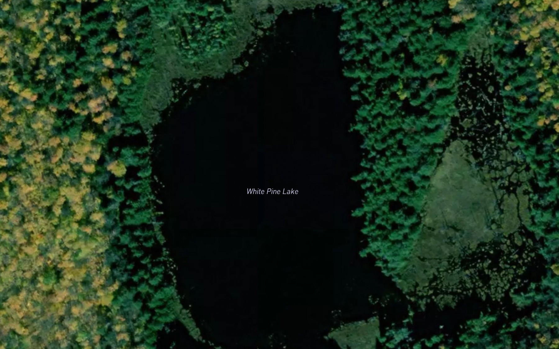 Satellite map of the White Pine Lake