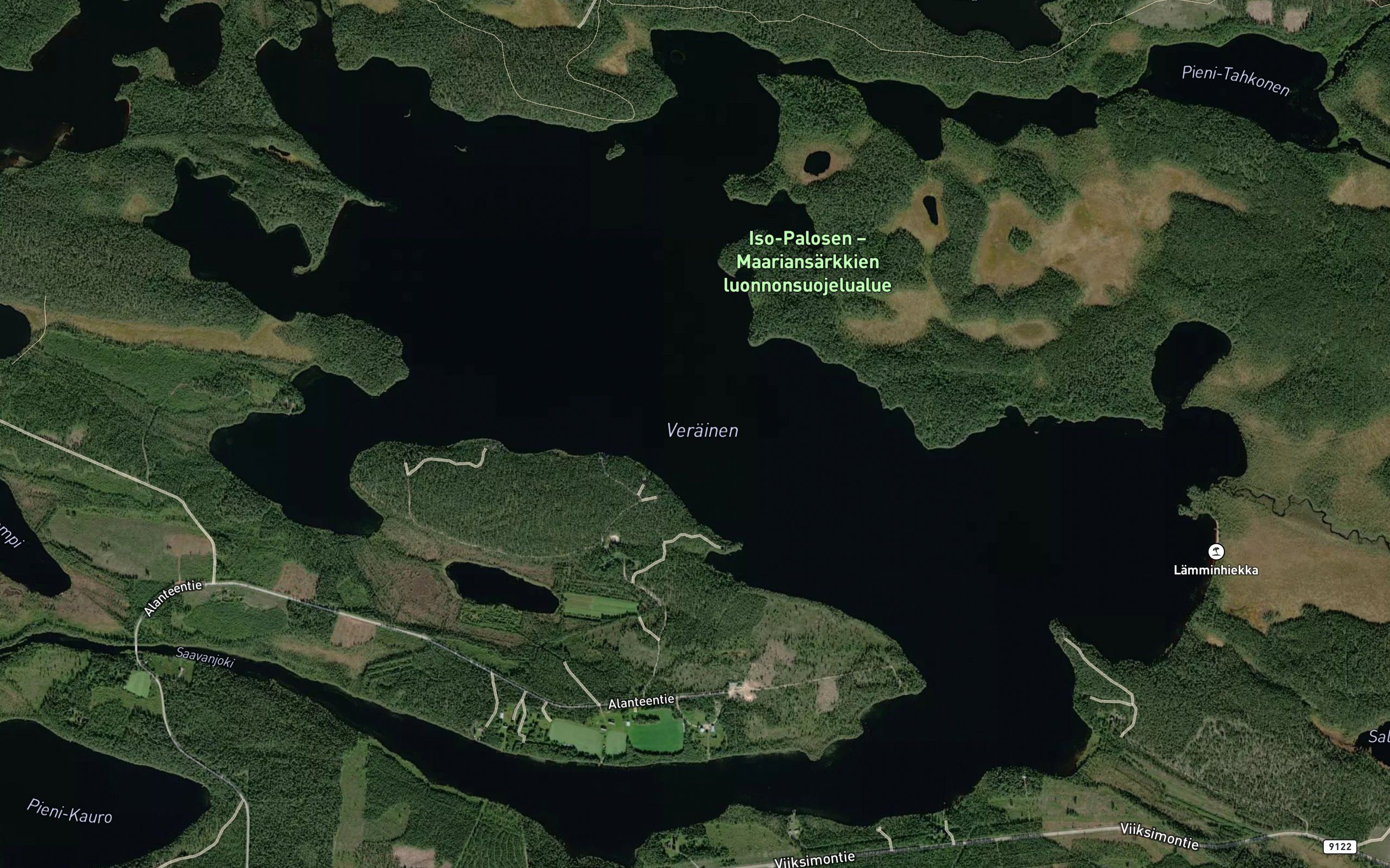 Verainen