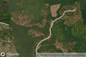 West Branch Alder Stream