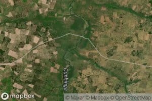 Calonguende