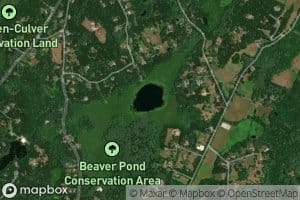 Beaver Pond