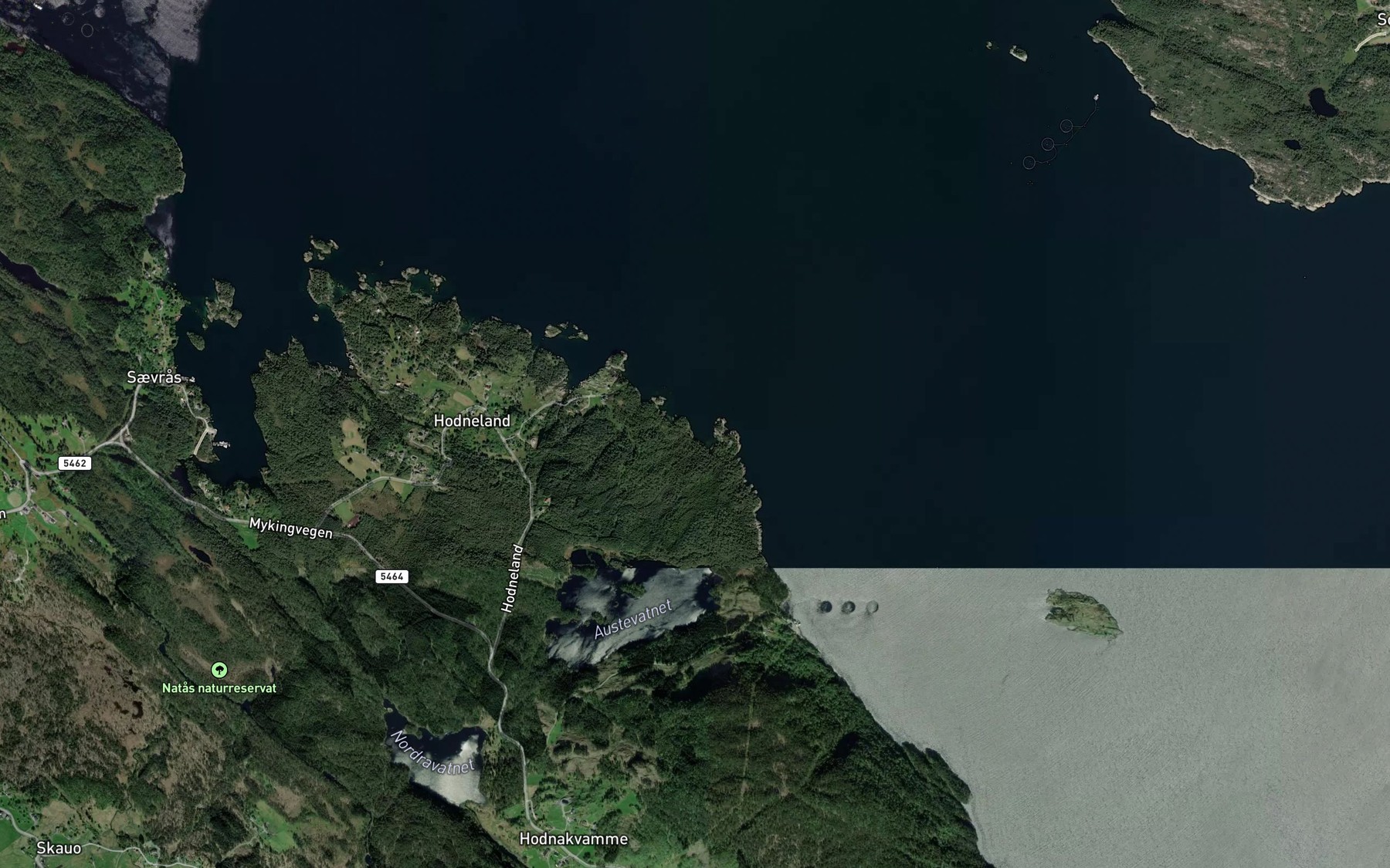 Satellite map of the Stongeviki