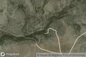 Wilcox Spring