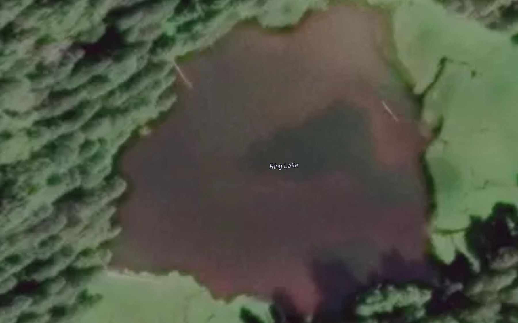 Satellite map of the Ring Lake