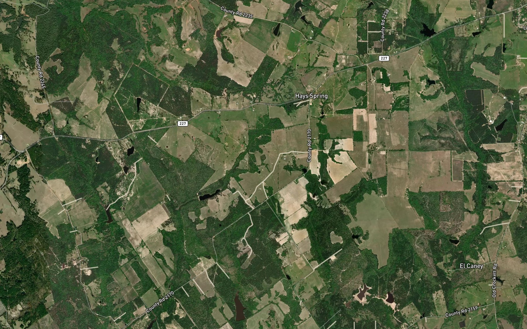 Satellite map of the Hays Branch Springs