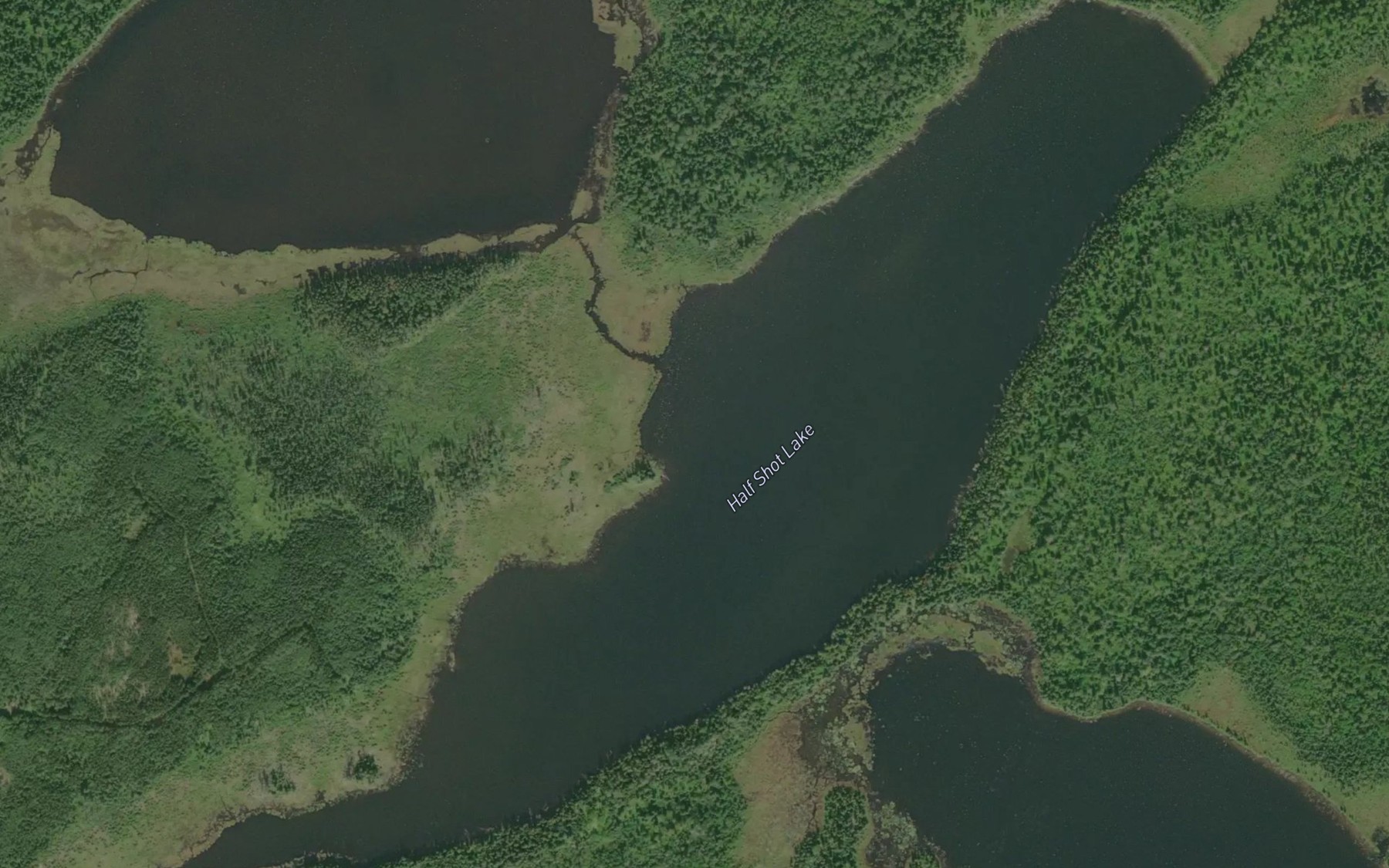 Satellite map of the Half Shot Lake