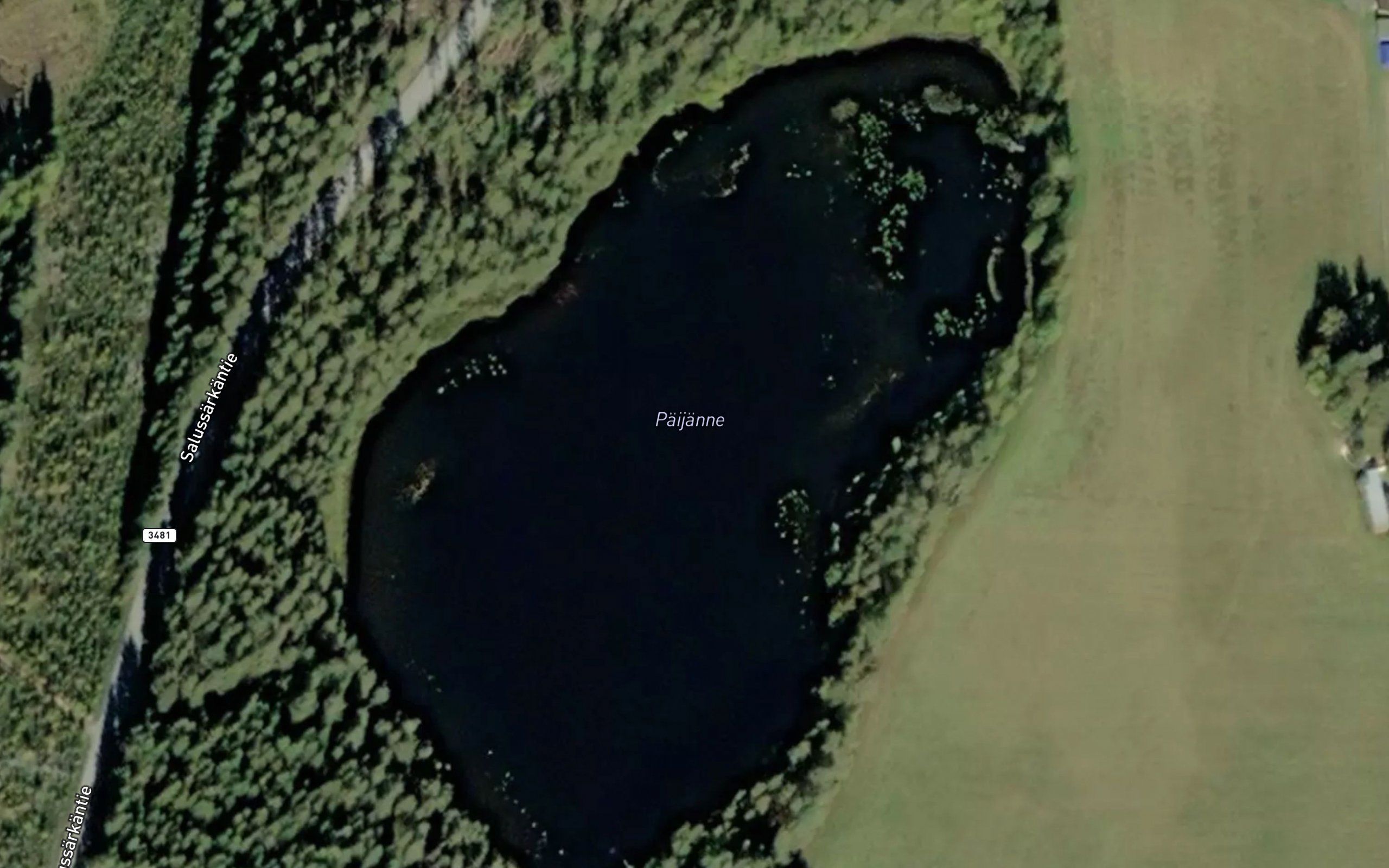 Paijanne