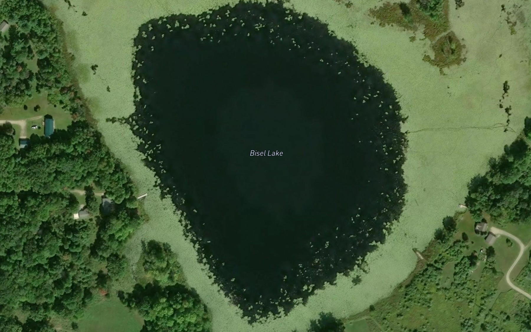 Satellite map of the Bisel Lake