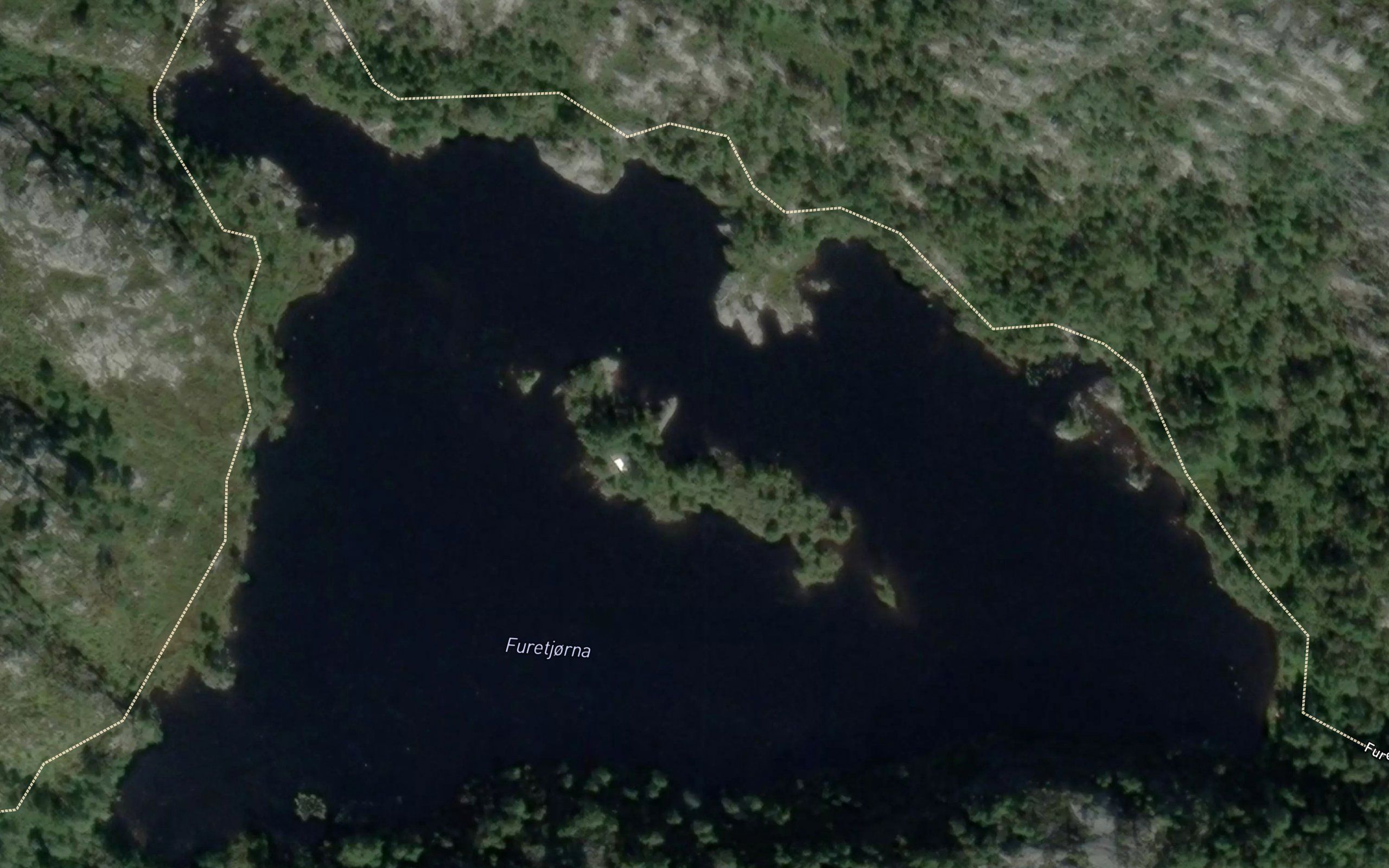 Foretjorn