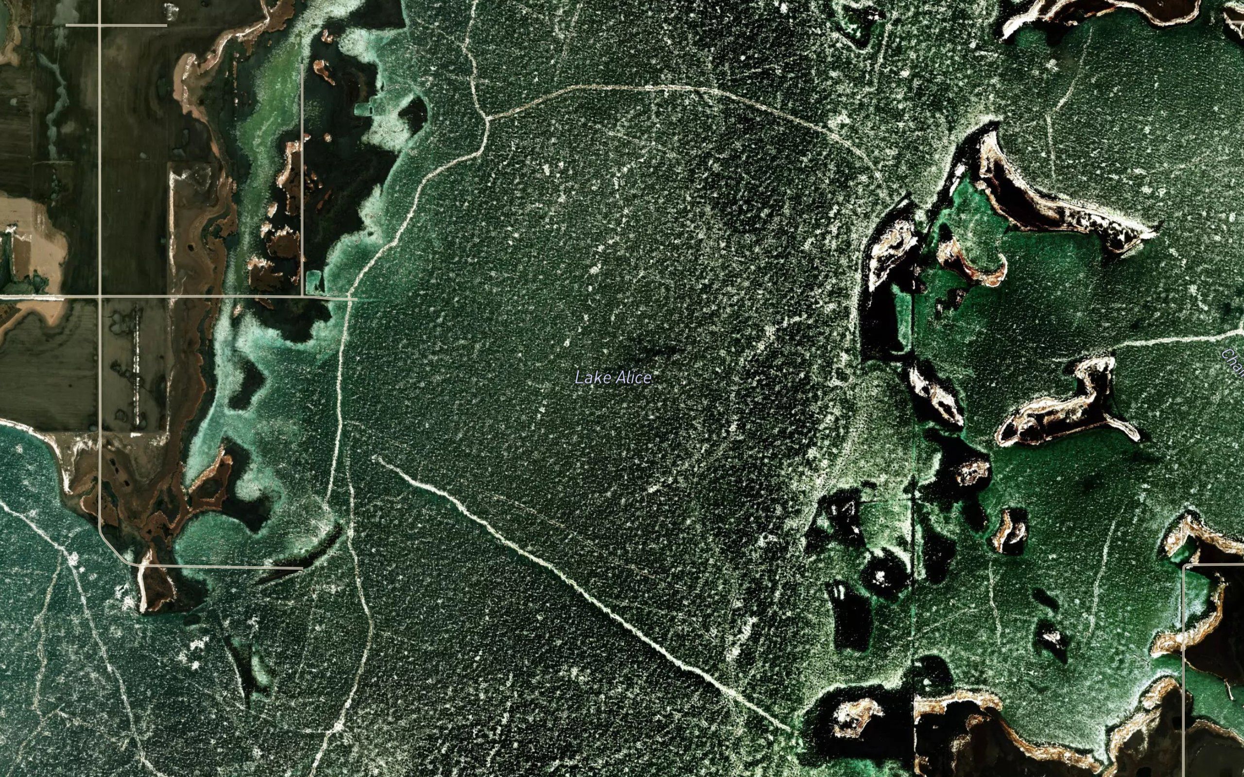 Lake Alice