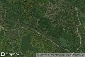 Mud Pond Brook