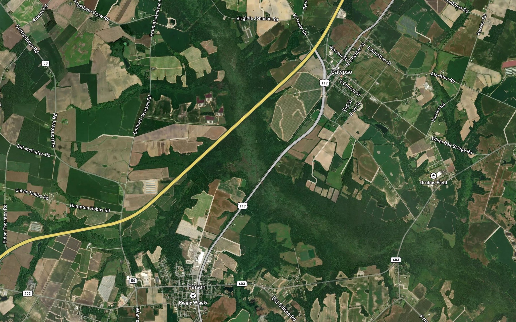 Satellite map of the Panther Branch